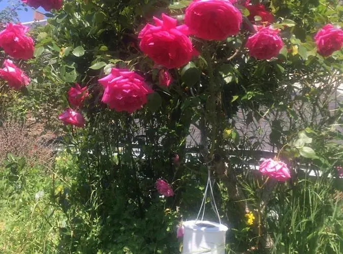 Habitación en casa particular Abbey Road